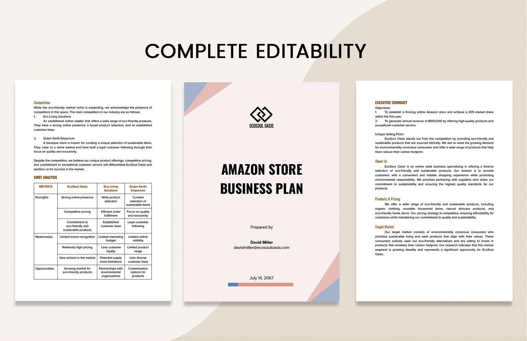 Amazon Store Business Plan Template