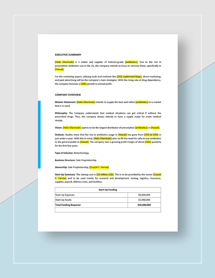 Business plan template picture