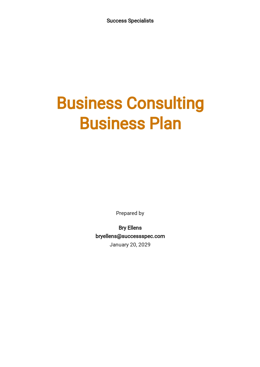 Business Plan Essay Template Google Docs Word Apple Pages PDF