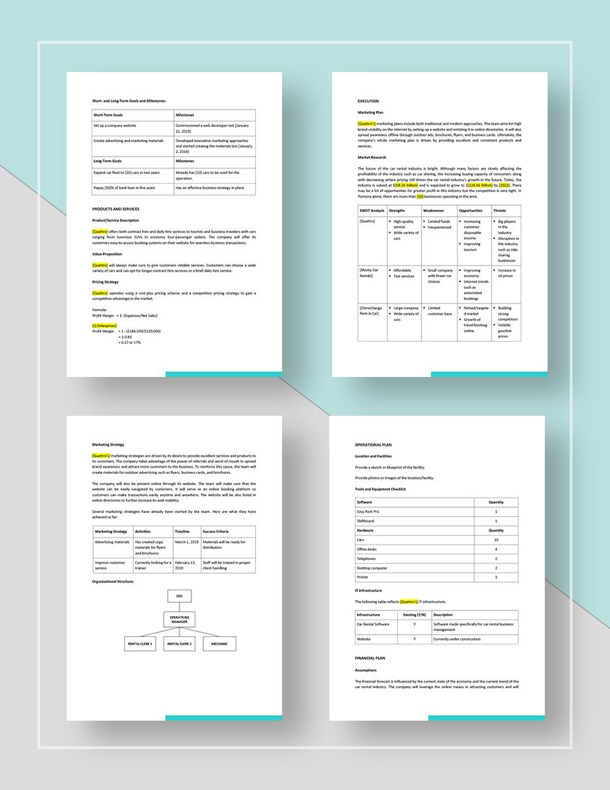 Car Rental Business Plan Template in Pages Word Google Docs
