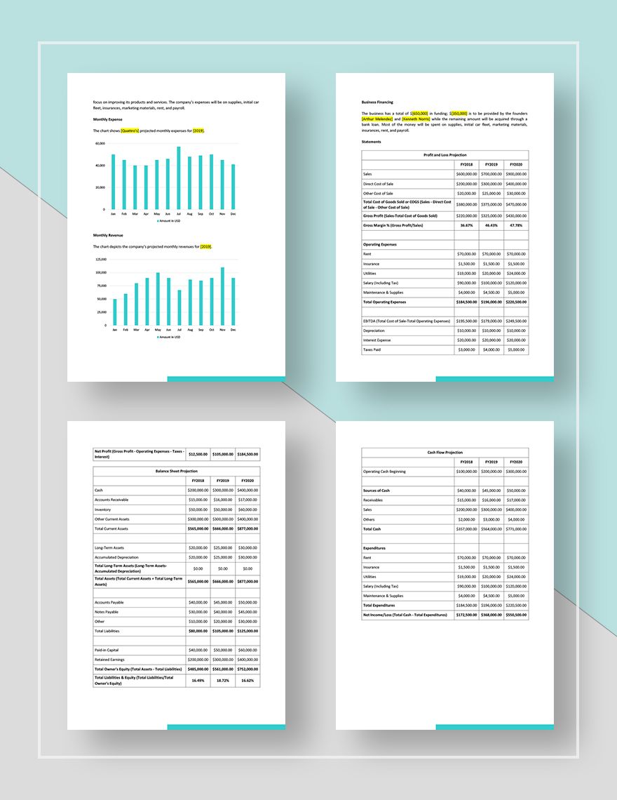 Car Rental Business Plan Template in Pages Word Google Docs