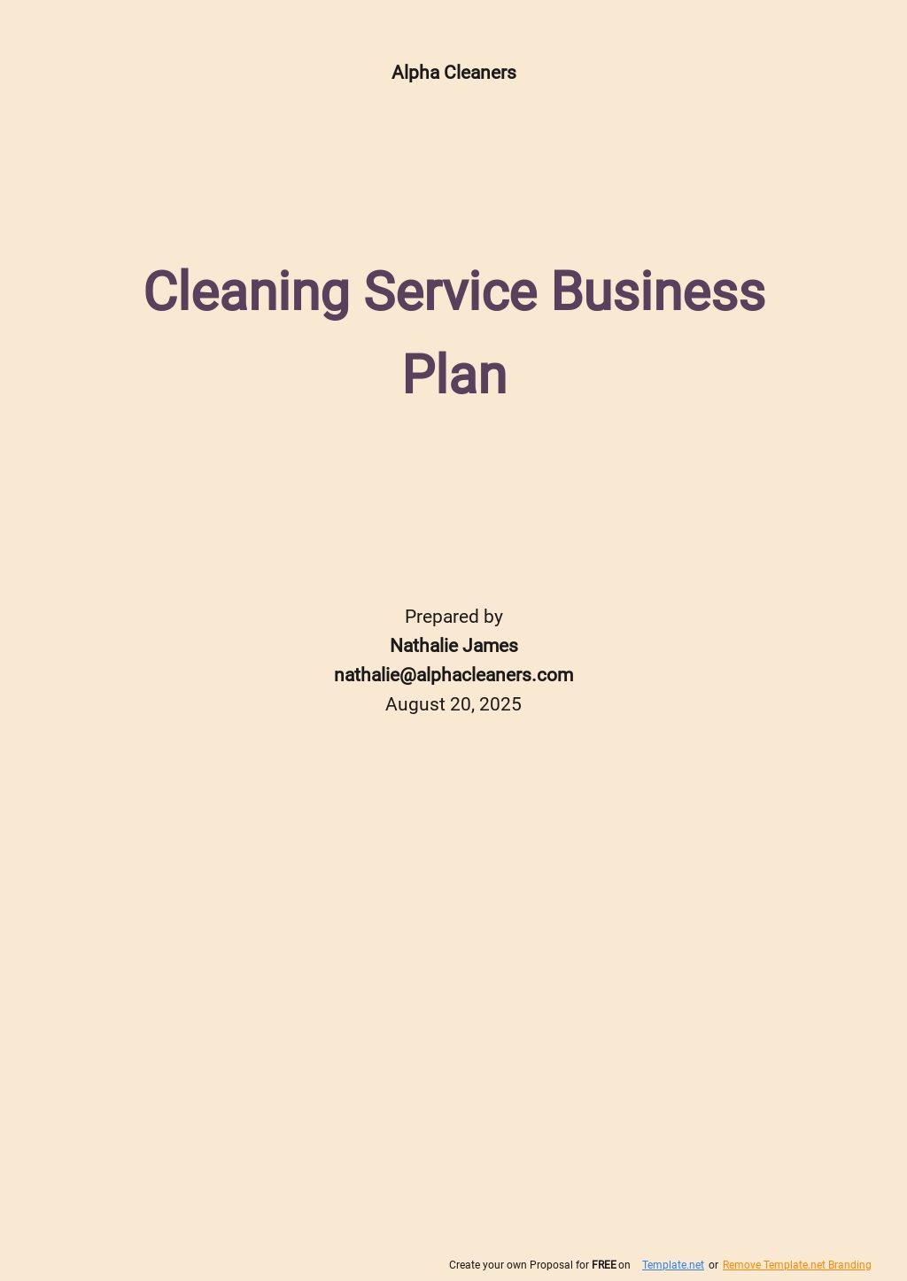 cleaning materials business plan