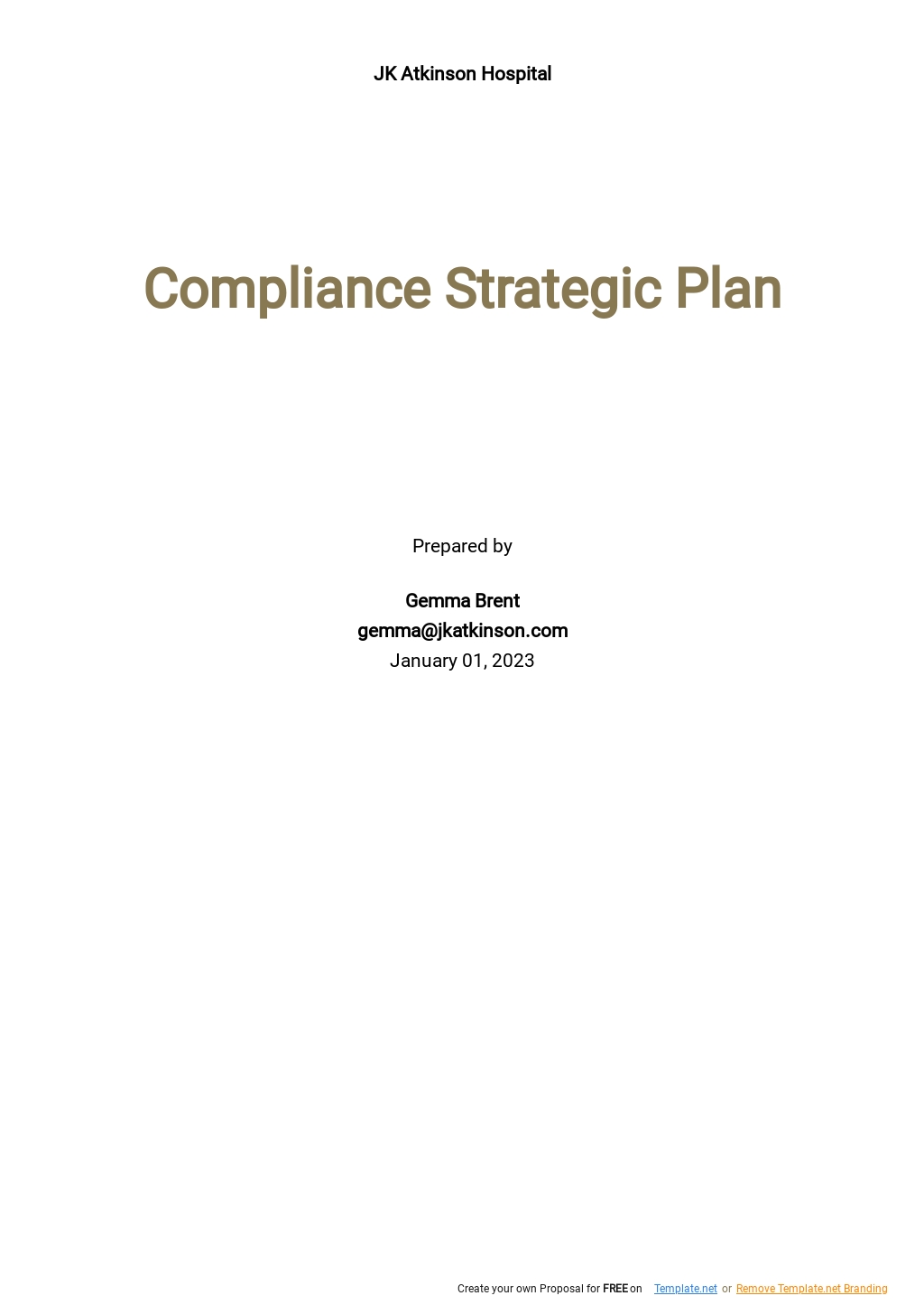 Free Strategy Plan Template In Microsoft Word Doc