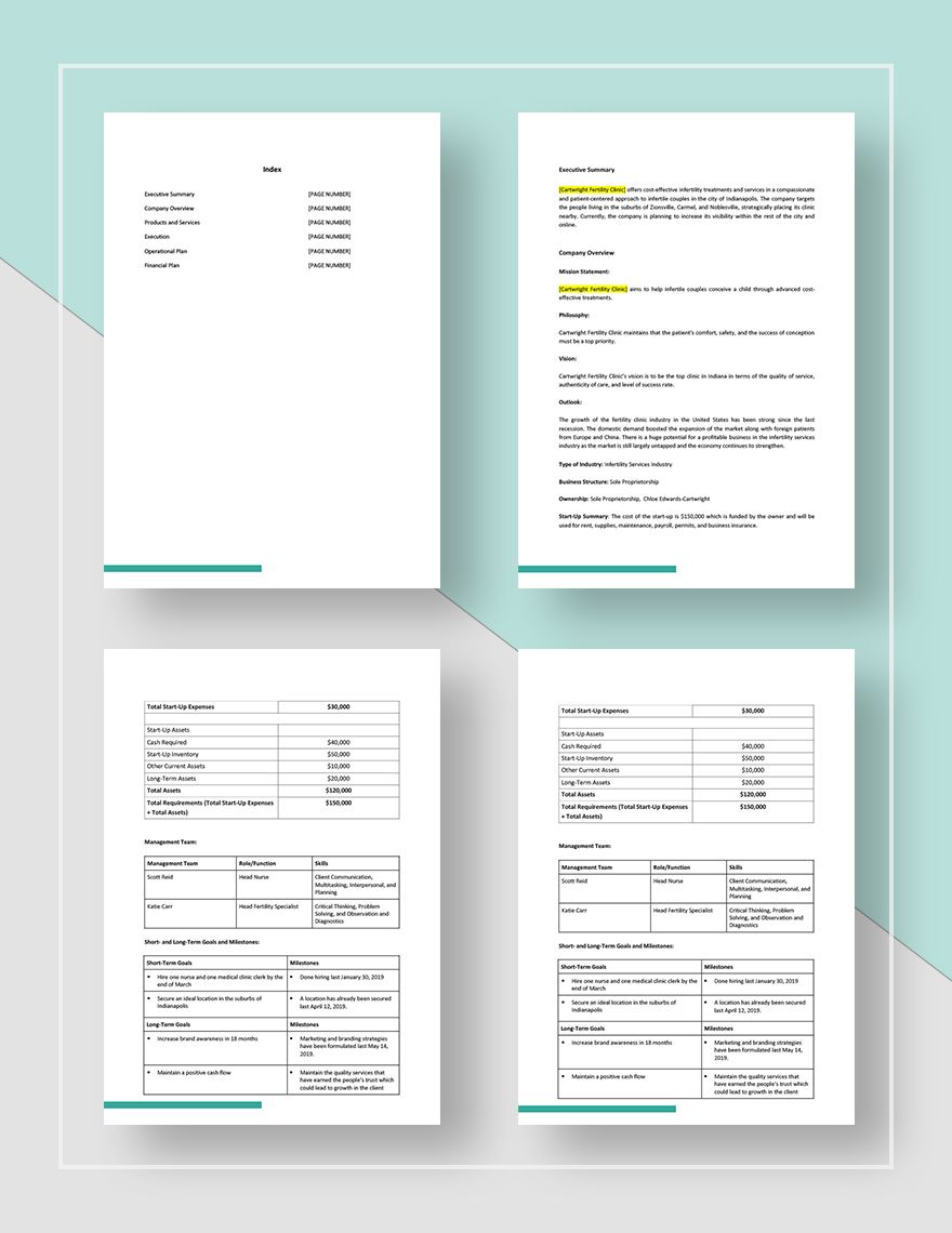 dental startup business plan template