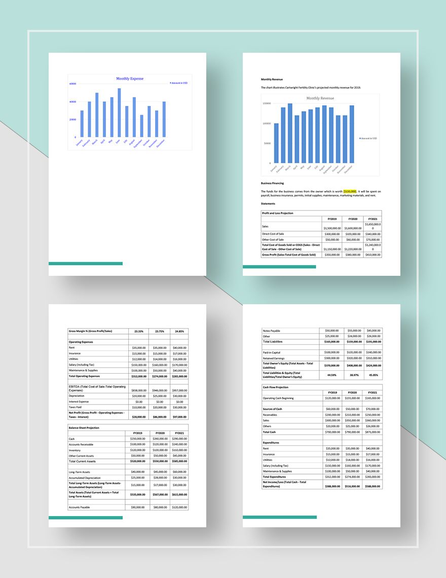 fertility clinic business plan