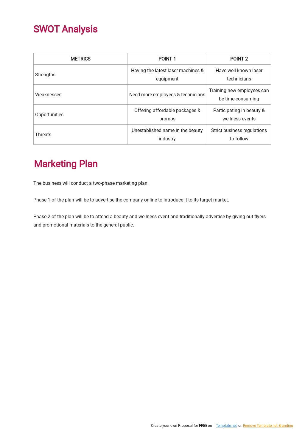 Hair Removal Business Plan Template 3.jpe