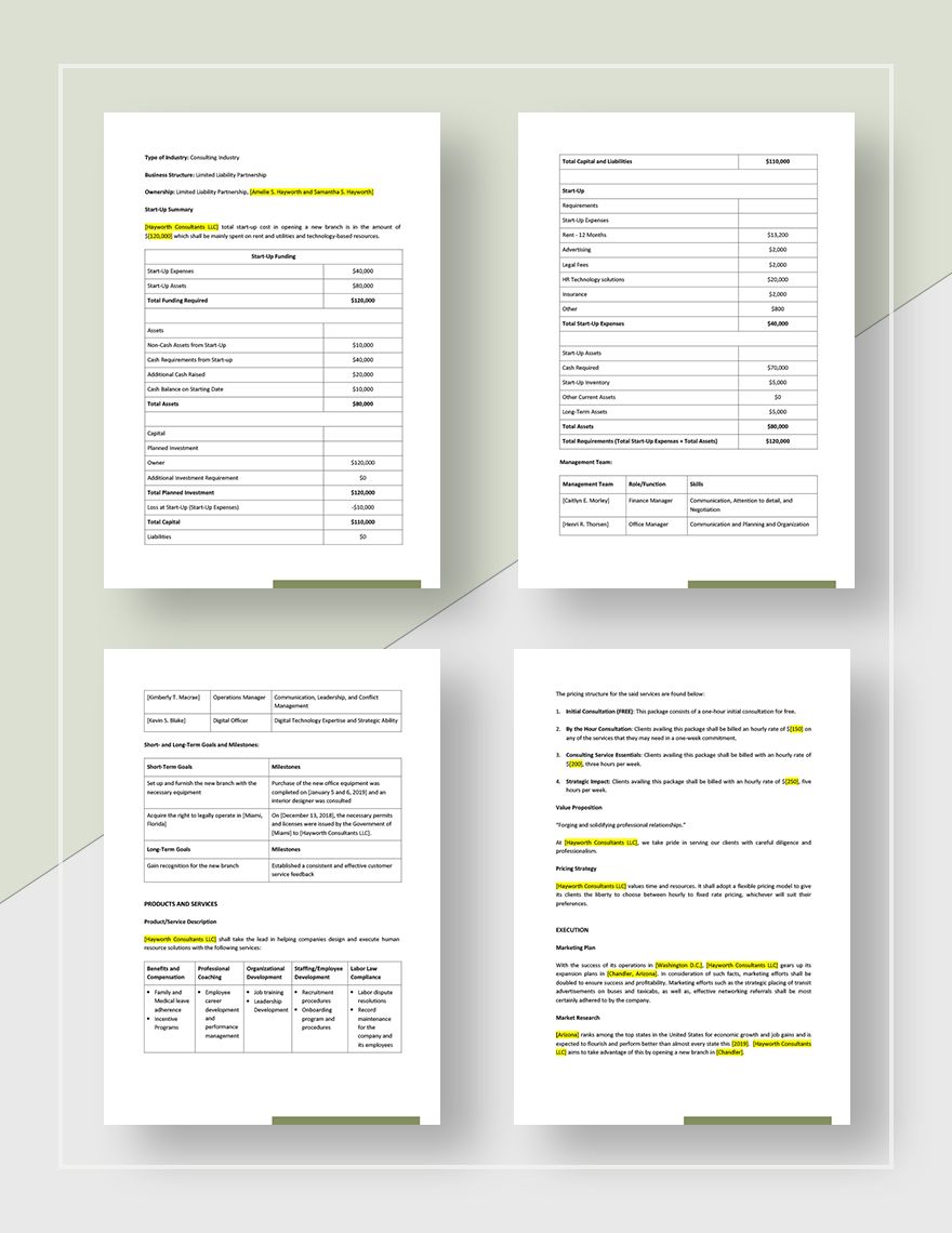 business plan for hr consultant