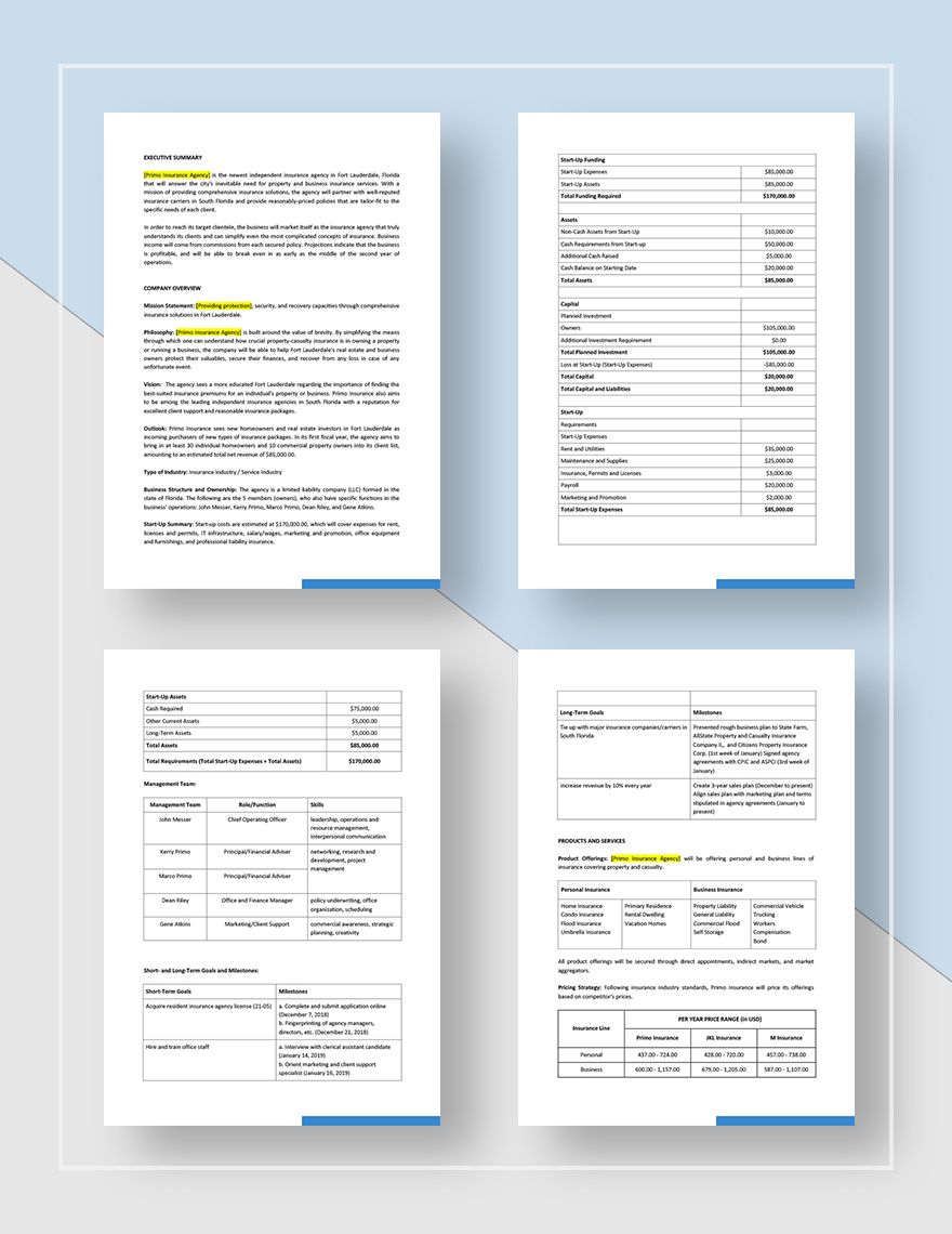insurance agency business plan sample pdf