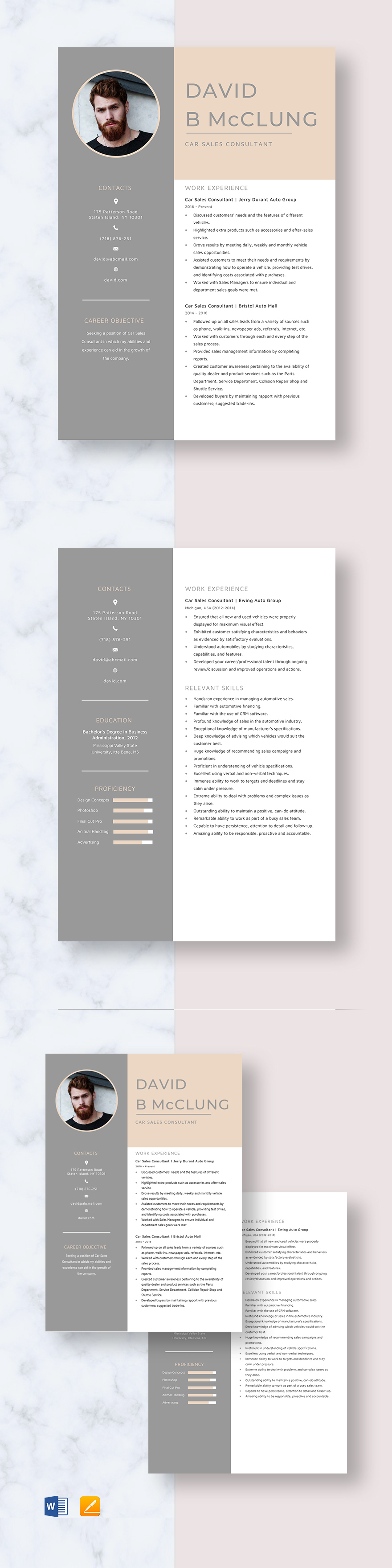 business-intelligence-consultant-resume-template-word-apple-pages