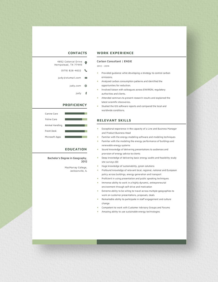 Carbon Consultant Resume