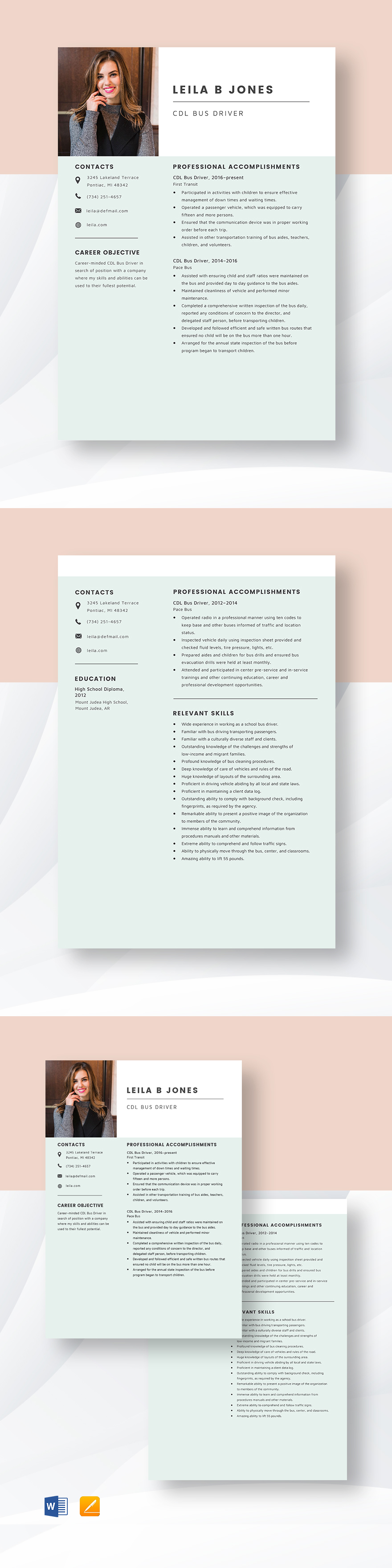 CDL Bus Driver Resume Template