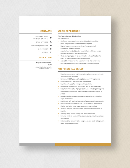 CDL Truck Driver Resume Template