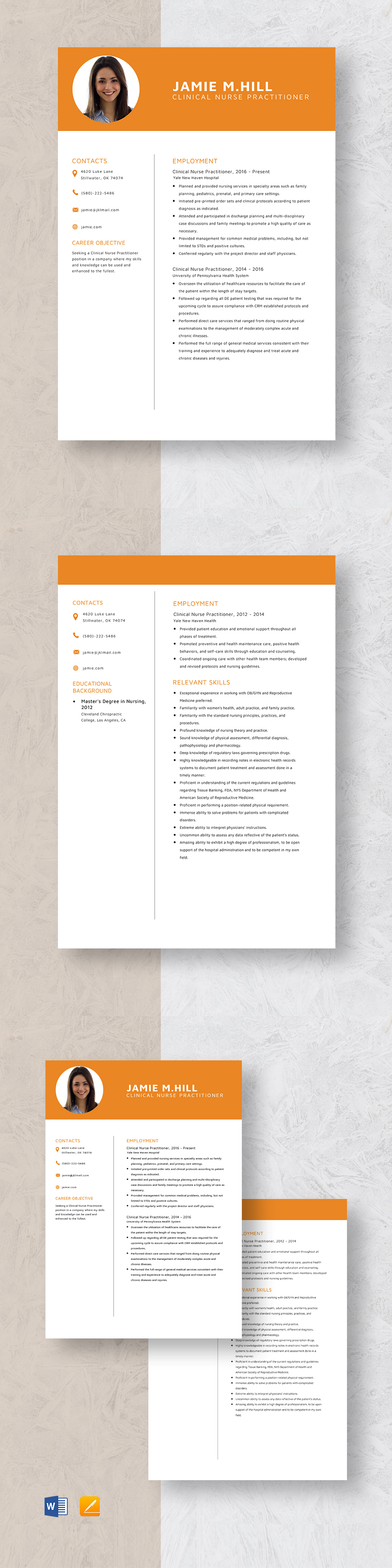 Holistic Nurse Practitioner Resume Template Word, Apple Pages