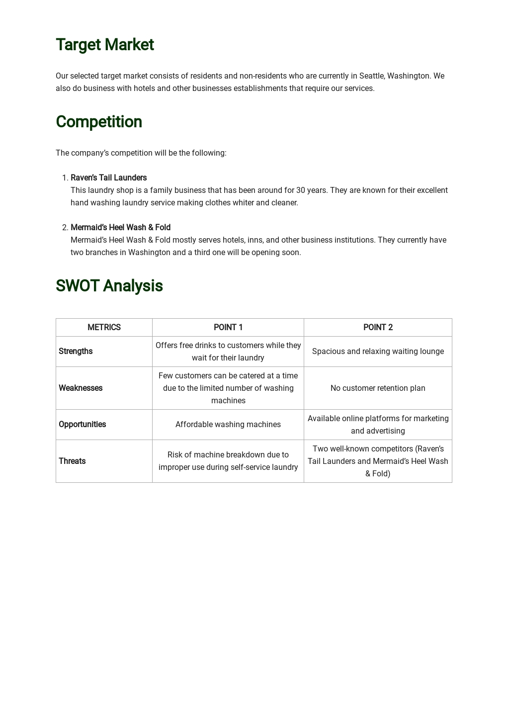 Laundry Business Plan Template Google Docs, Word, Apple Pages