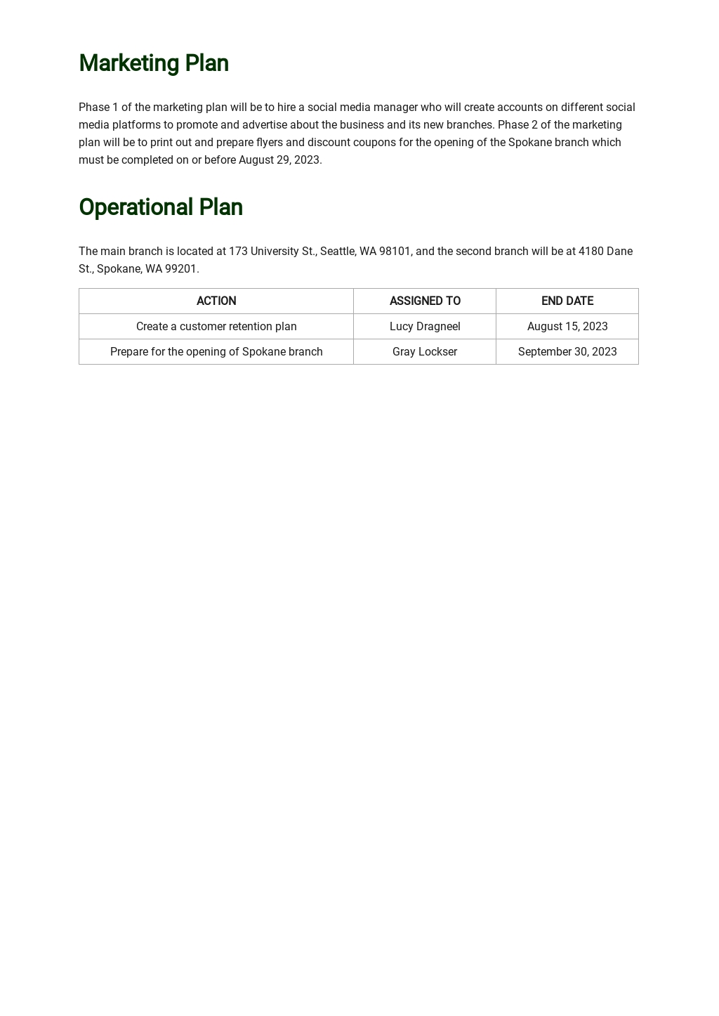 Laundry Business Plan Template Google Docs, Word, Apple Pages