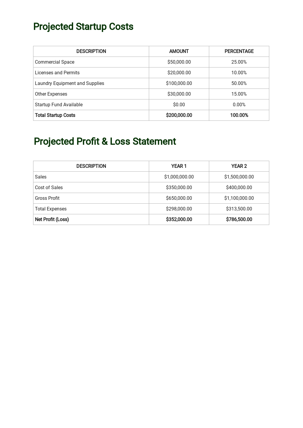 Laundry Business Plan Template Google Docs Word Apple Pages 