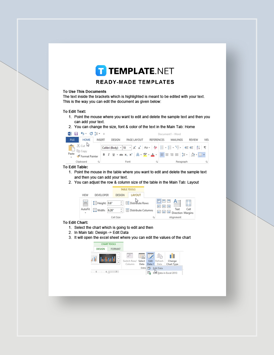 Laundry Business Plan Template