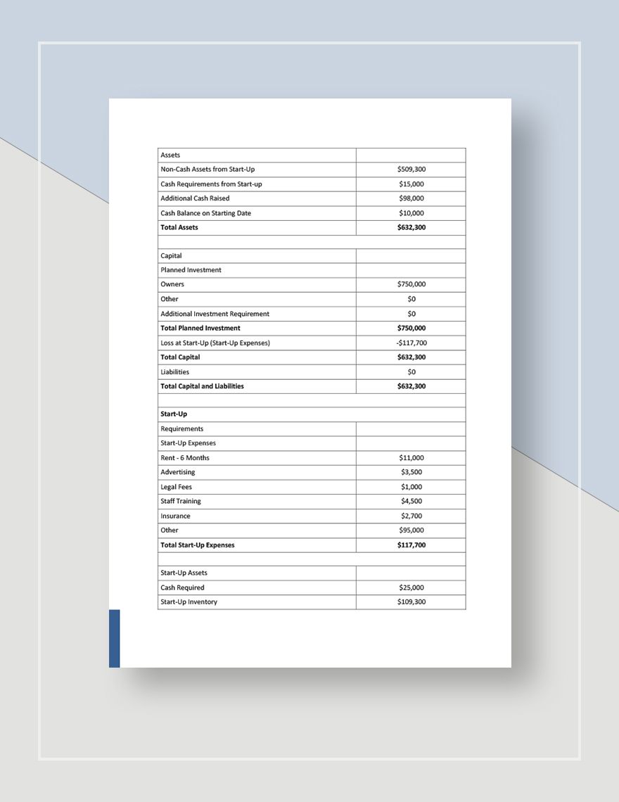 Laundry Business Plan Template Download in Word, Google Docs, Apple