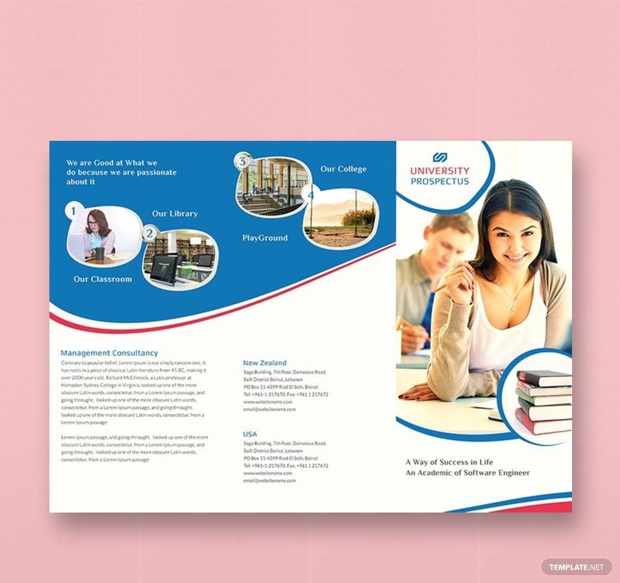 University Tri-Fold Brochure Template