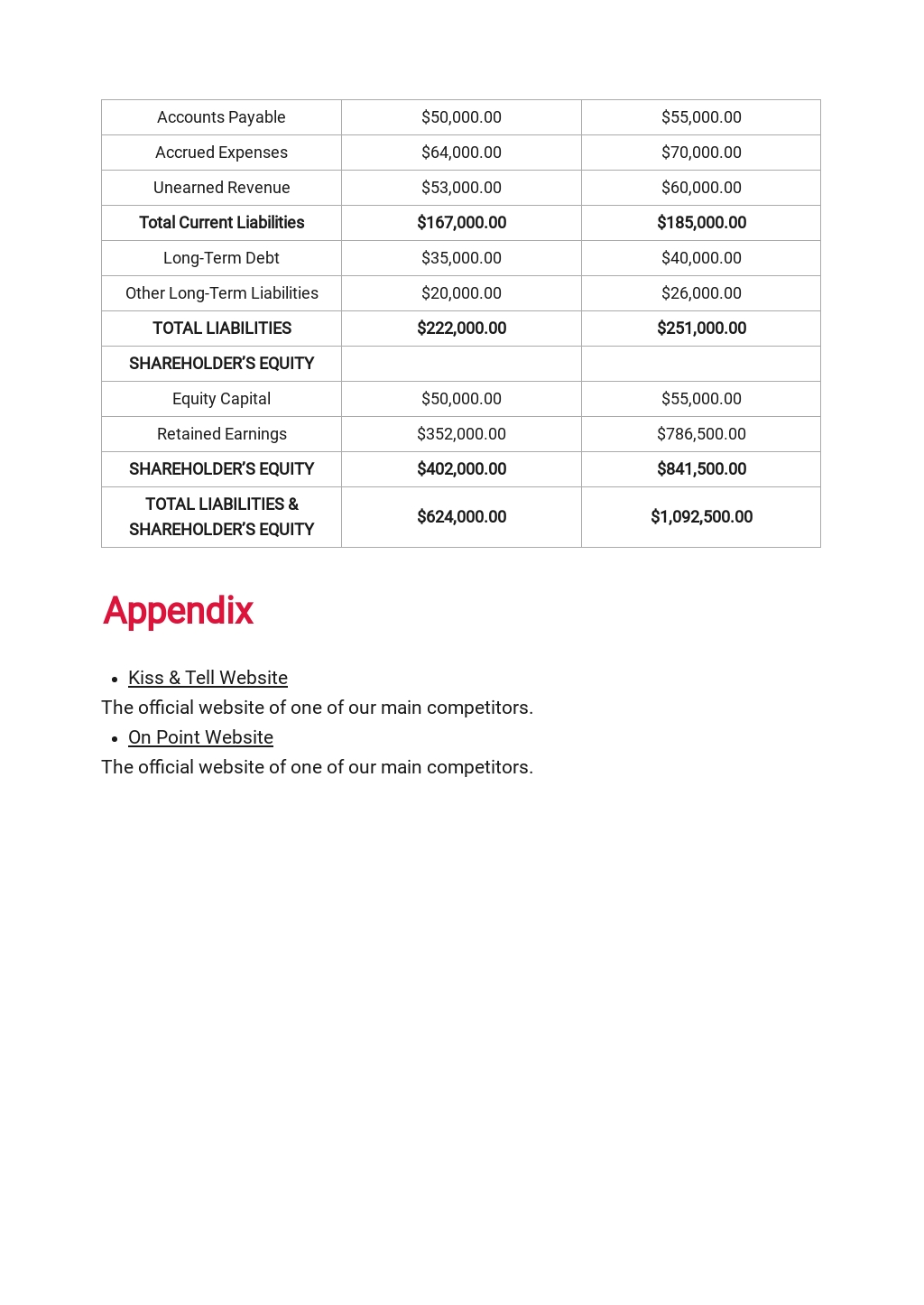 Magazine Business Plan Template Free PDF Word DOC Google Docs