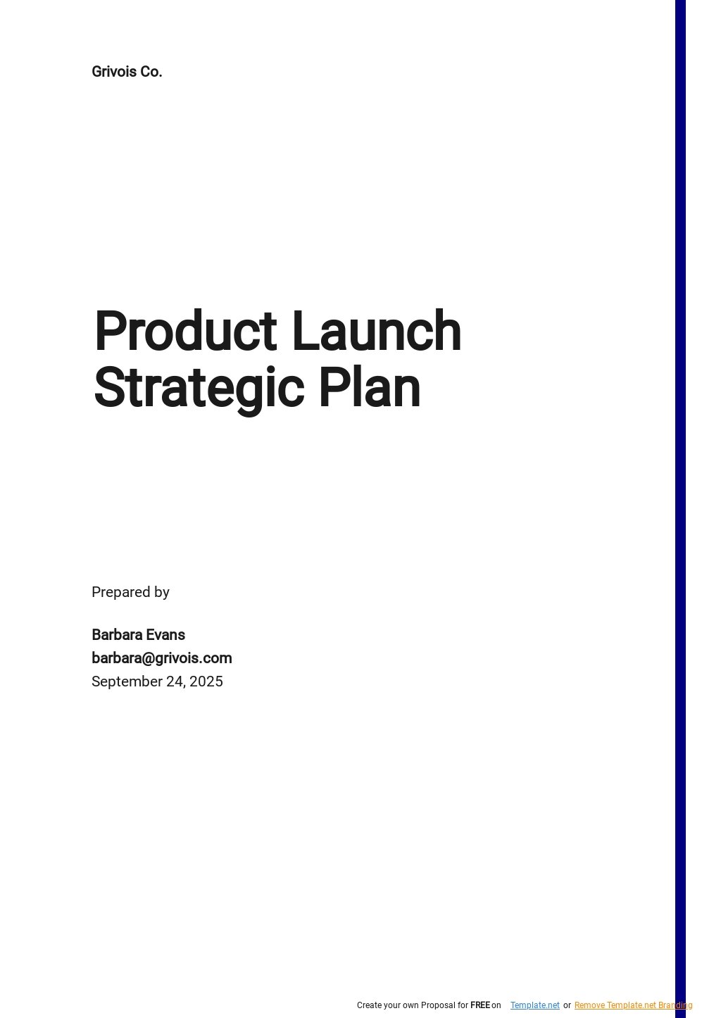 Product Launch Strategy Template