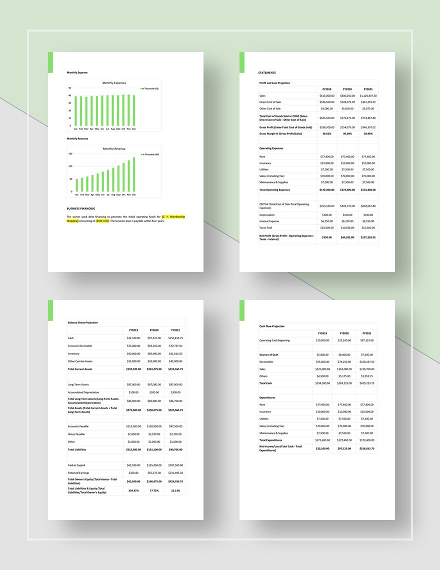 Membership Business Plan Template in Pages Word Google Docs