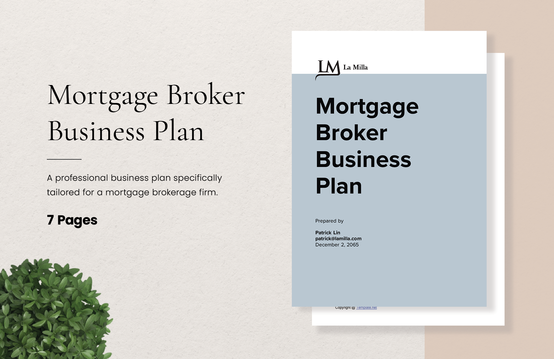 Mortgage Broker Business Plan Template