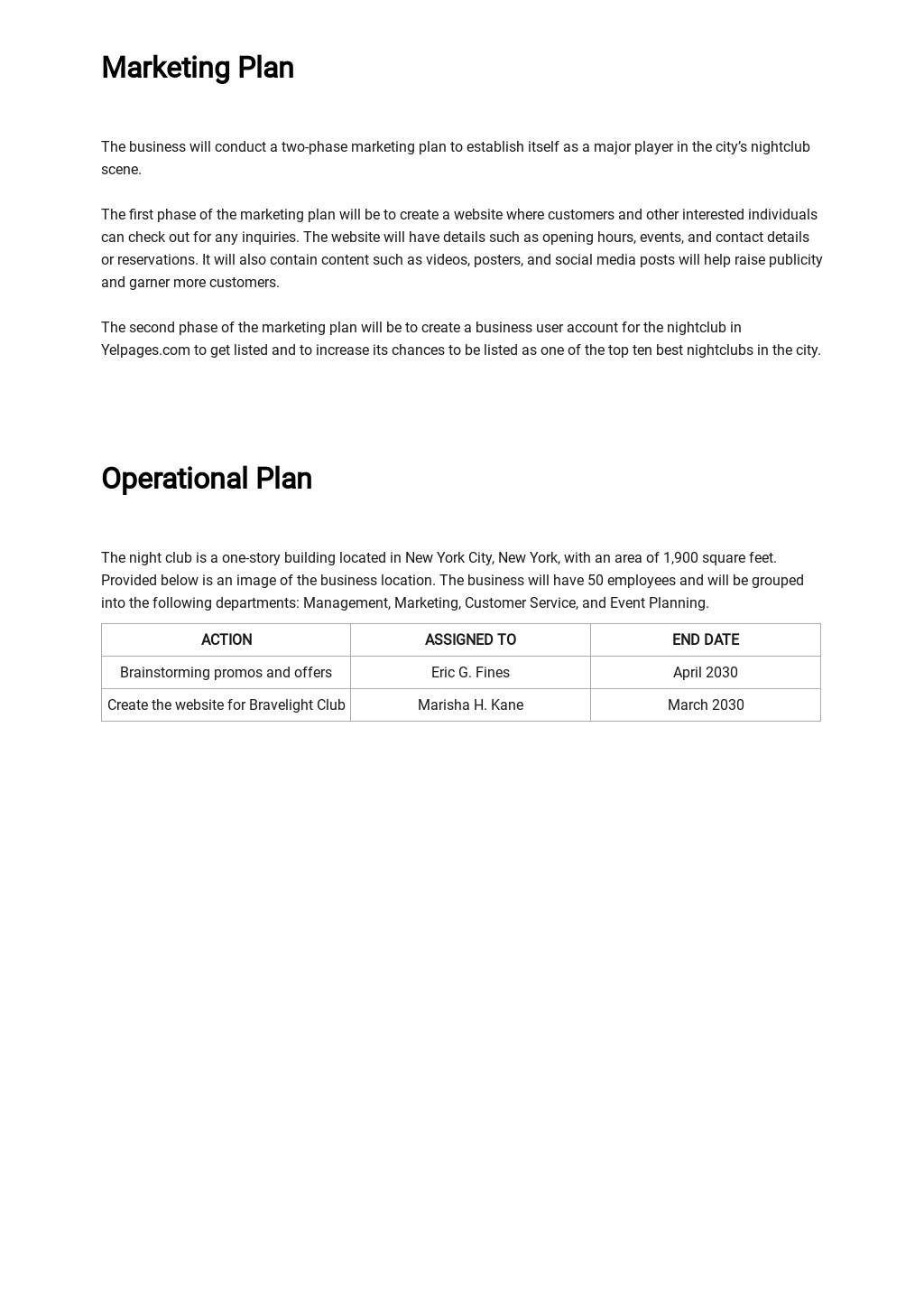 flying club business plan