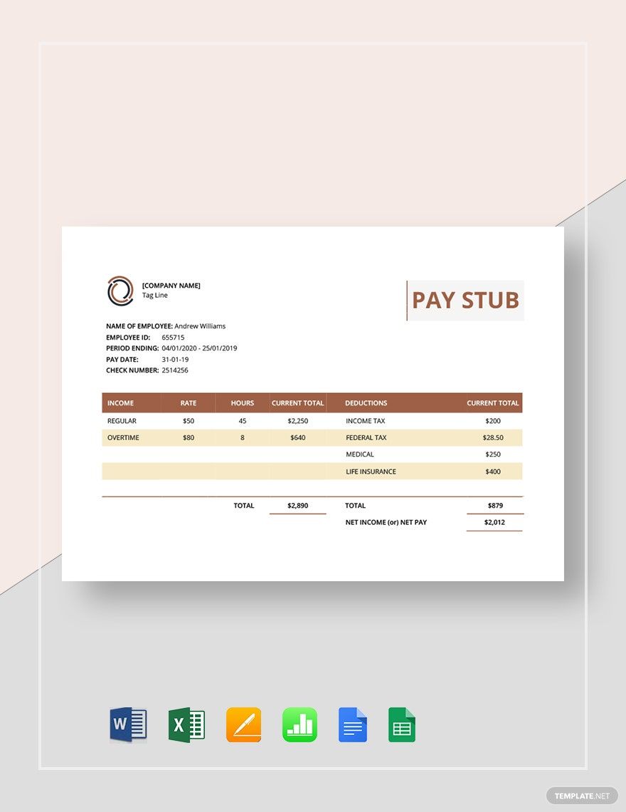 Earning Statement Pay Stub Template Google Docs, Google Sheets, Word