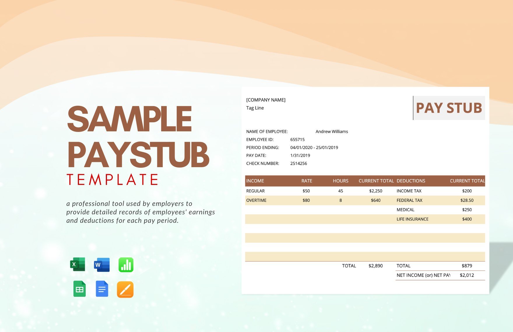 Sample Pay Stub Template in Word, Google Docs, Excel, Google Sheets, Apple Pages, Apple Numbers
