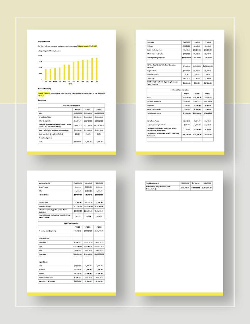 Packaging and Shipping Business Plan Template