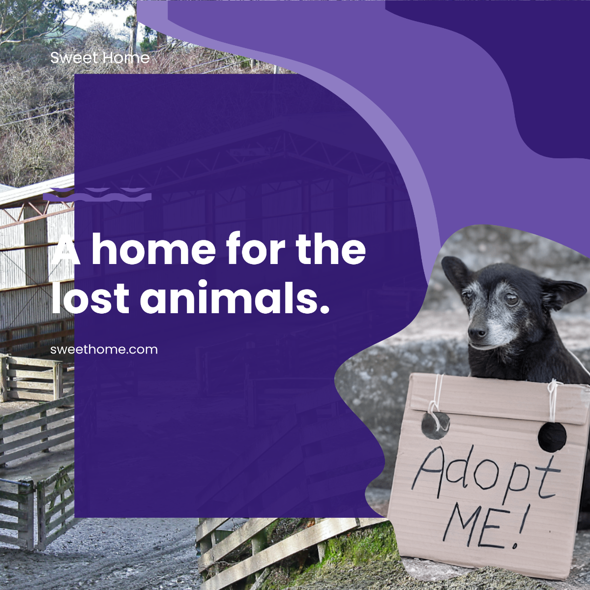 Free Animal Shelter Instagram Ad Template to Edit Online