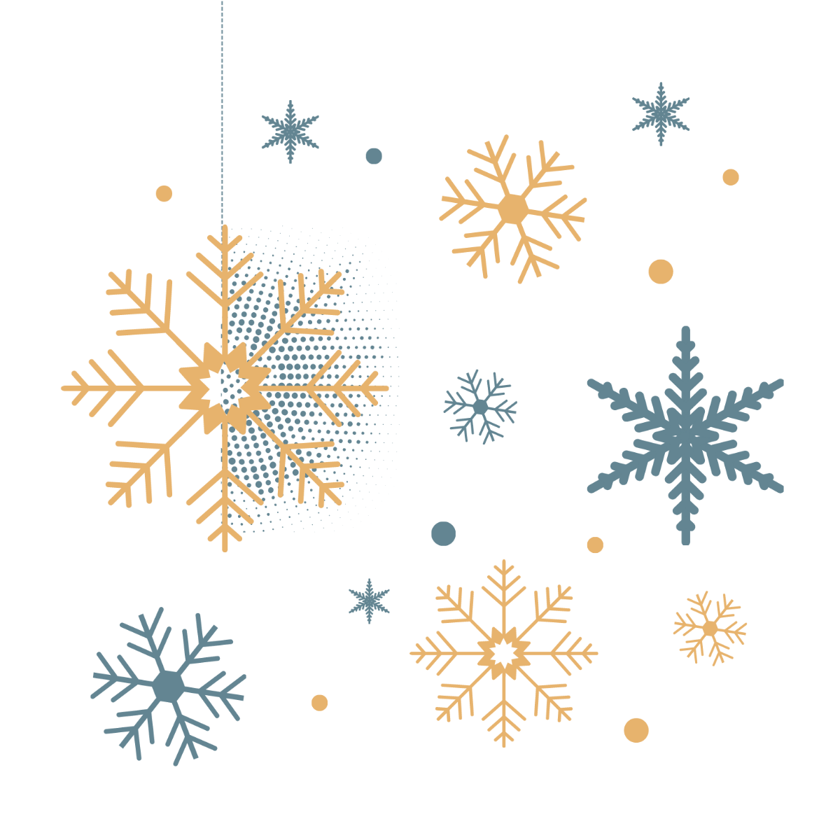 Beautiful Snowflakes Vector