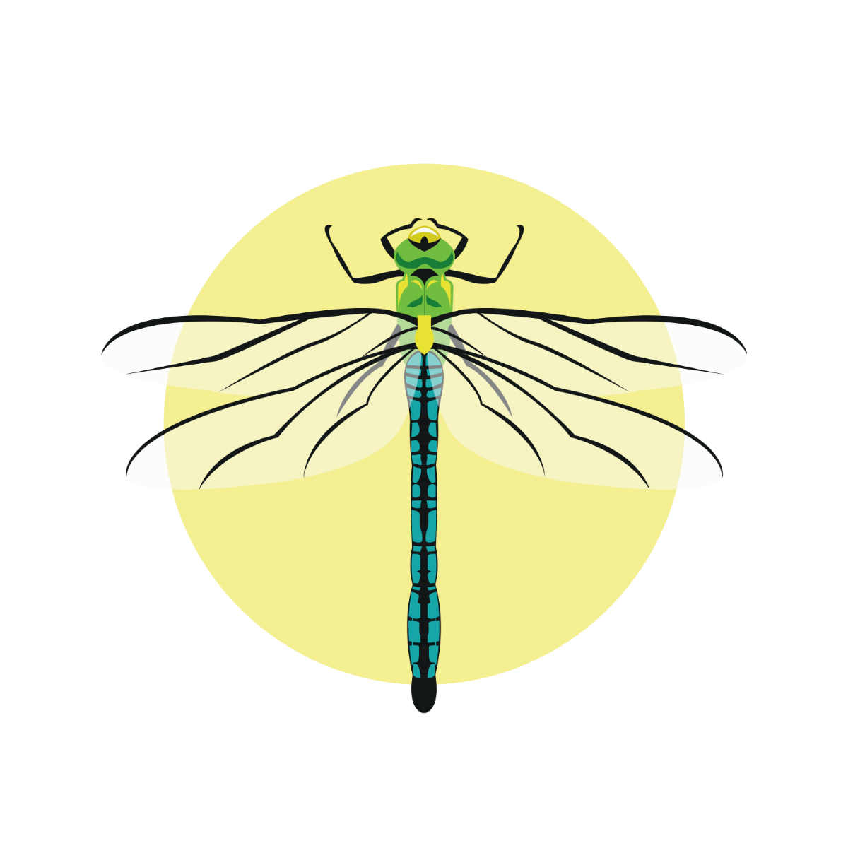 Dragonfly Vector Template