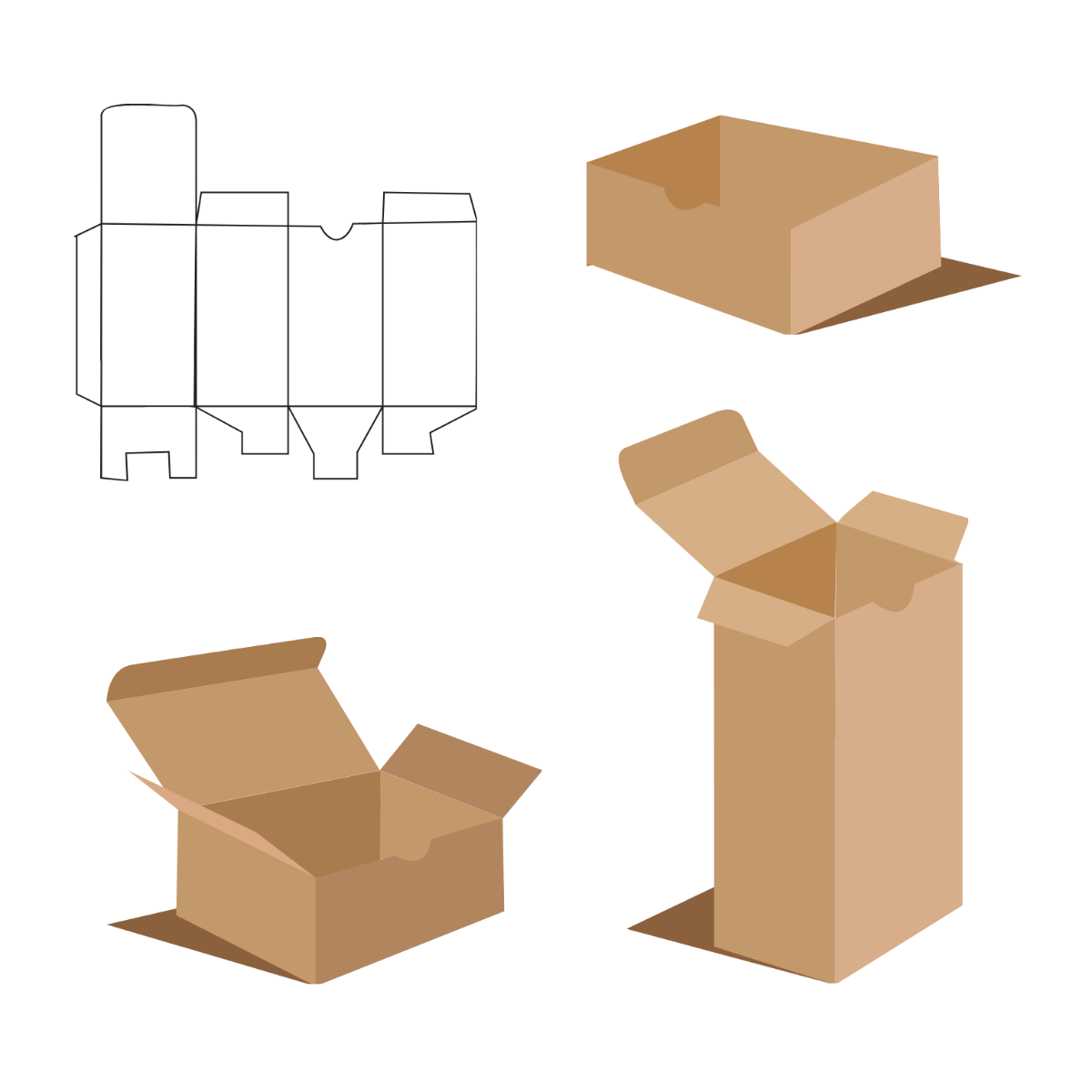 Box Packaging Vector Template