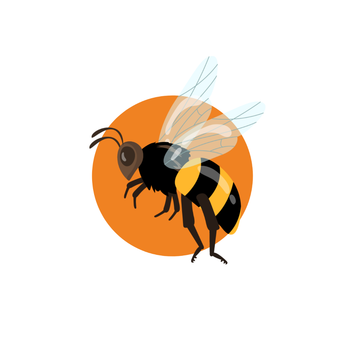 Side Bee Vector