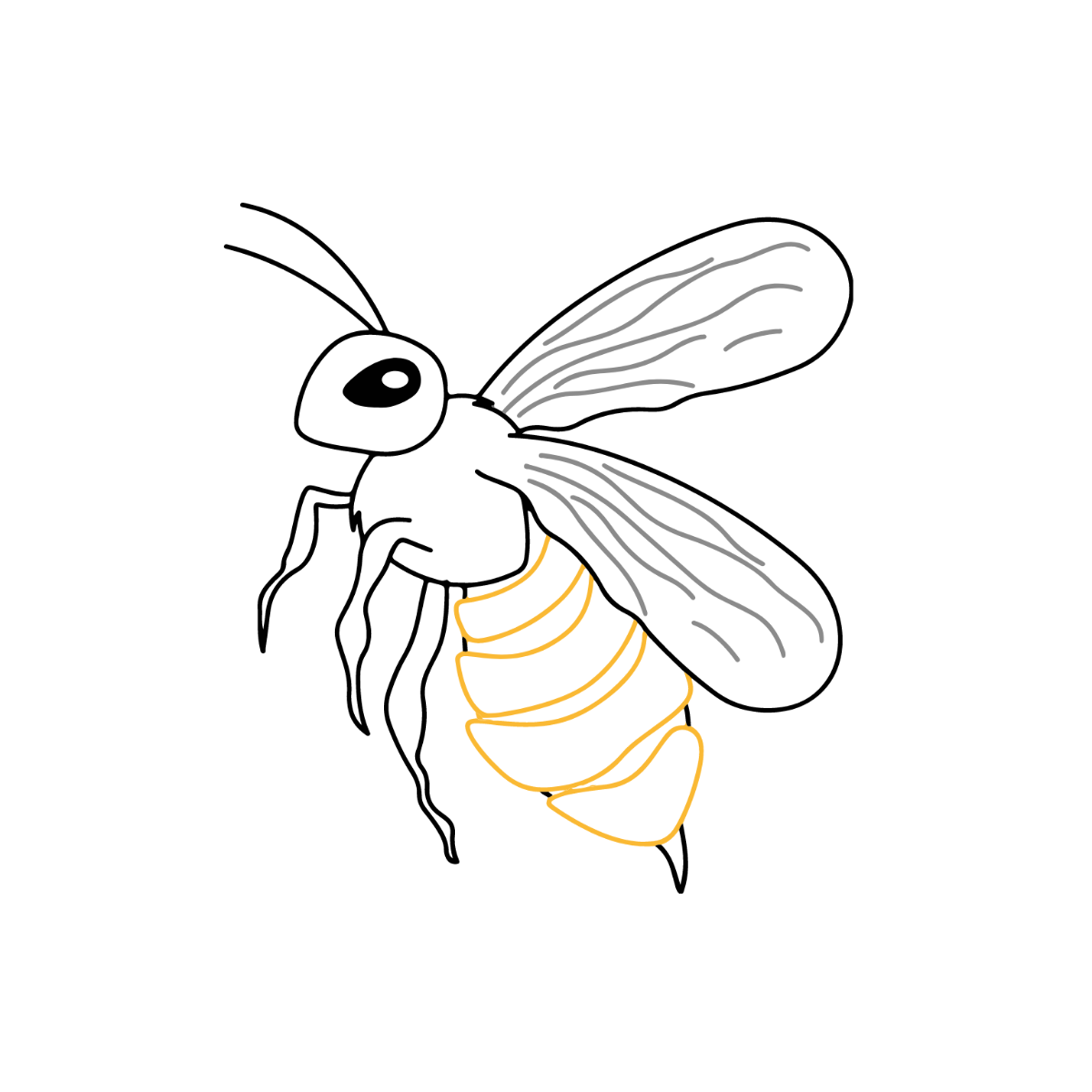 Bee Outline Vector Template