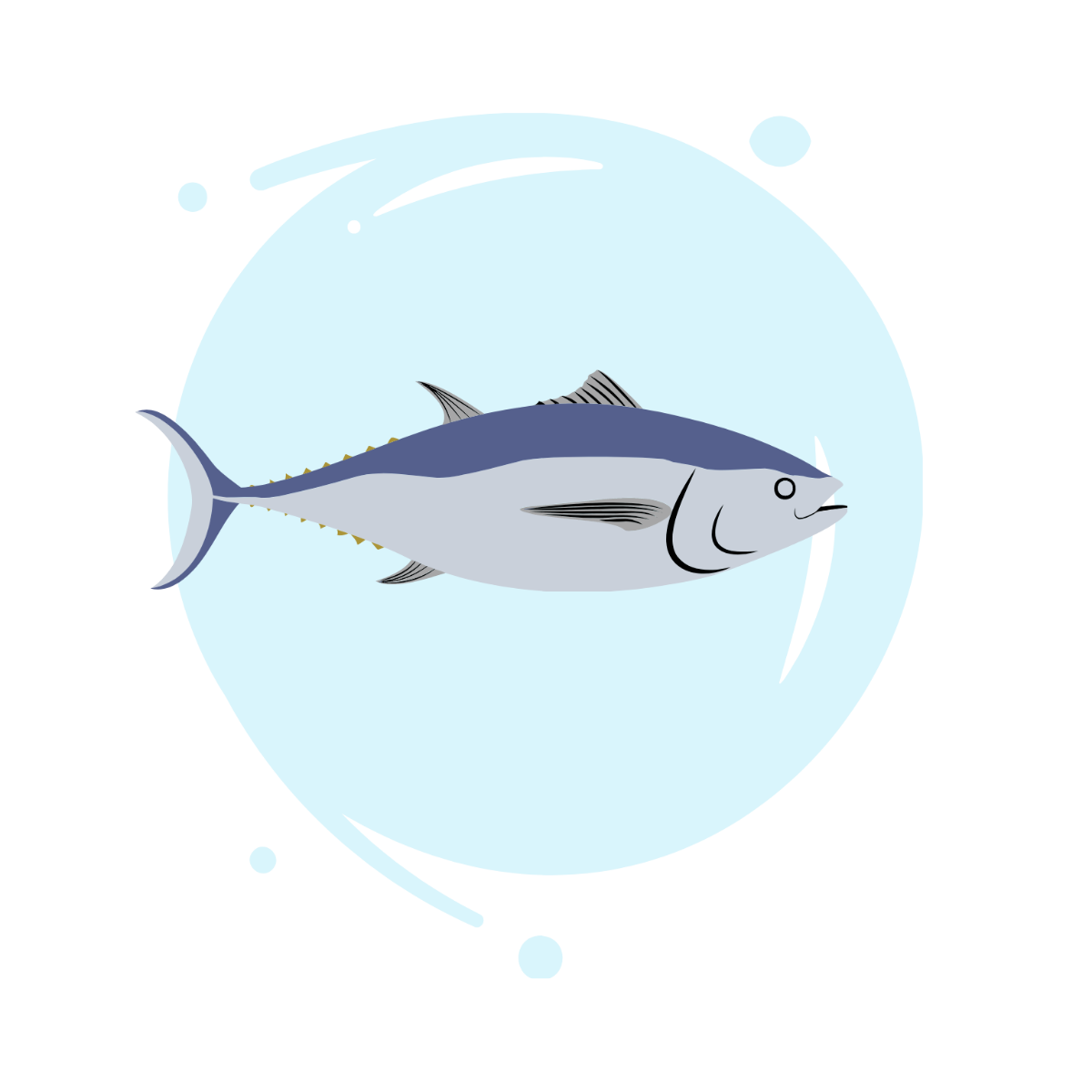 Tuna Vector Template