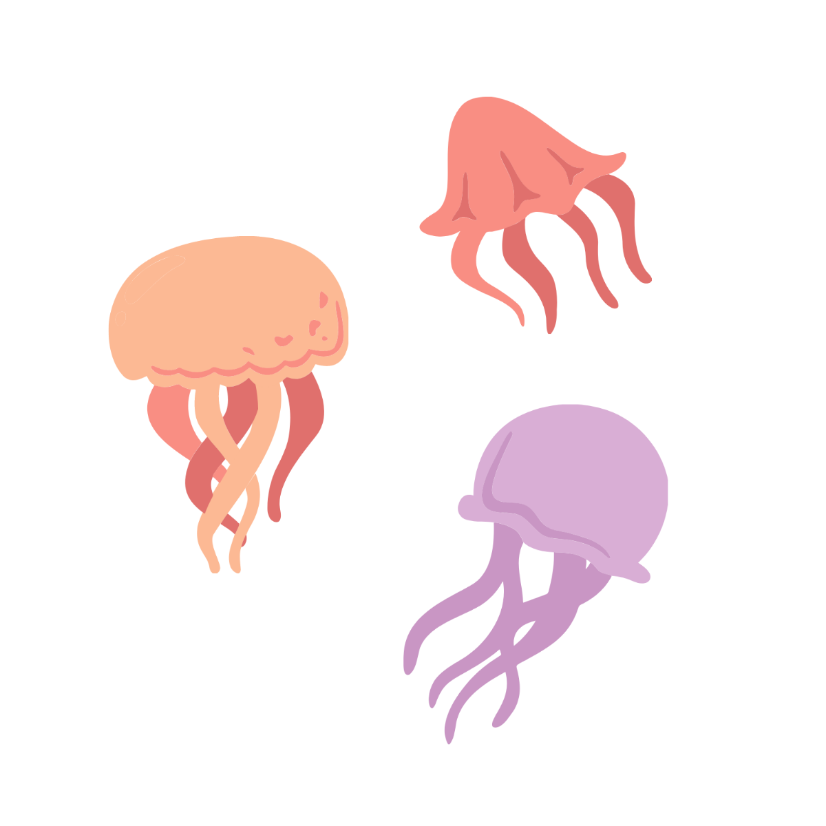 Jelly Fish Vector Template