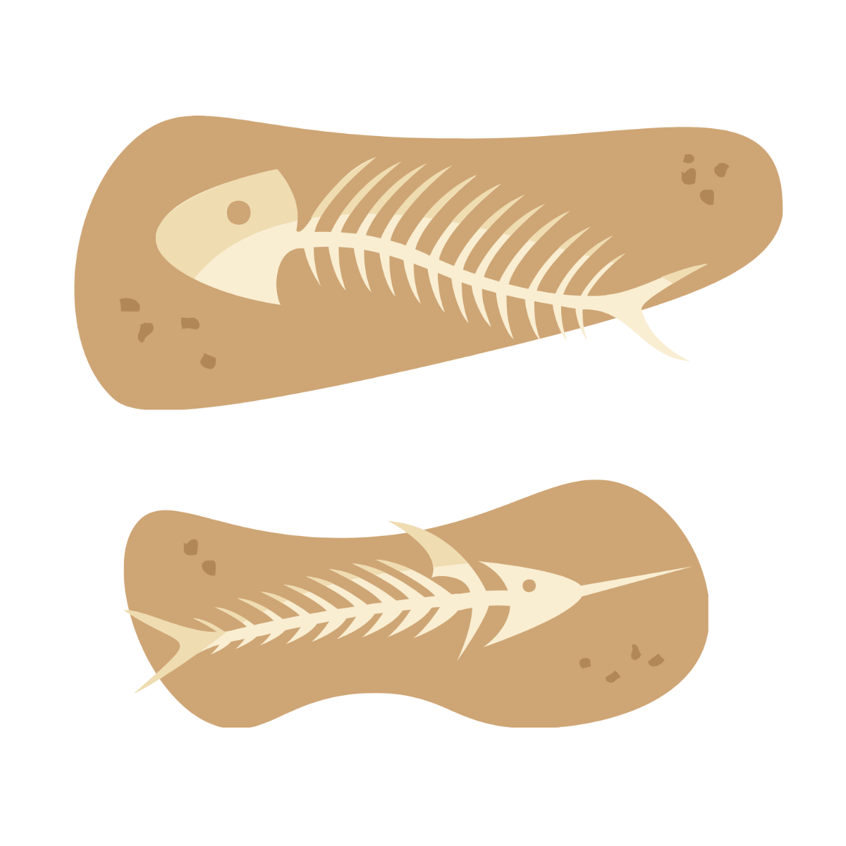Fish Skeleton Vector