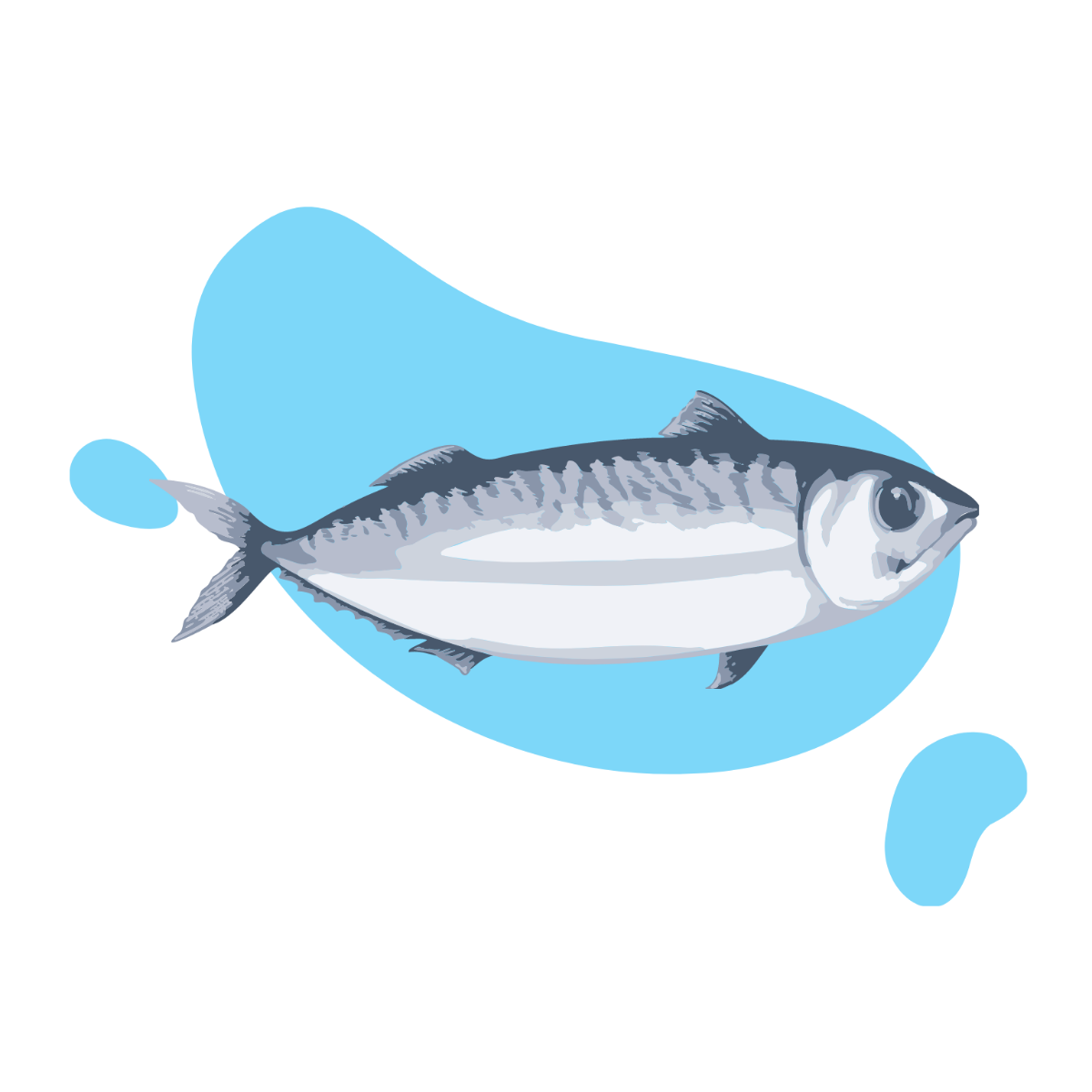 Free Realistic Fish Vector Template