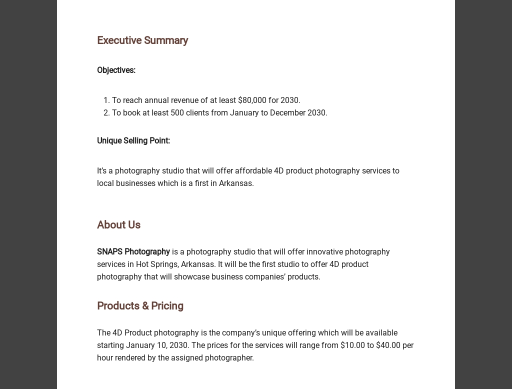 sample business plan for photography studio
