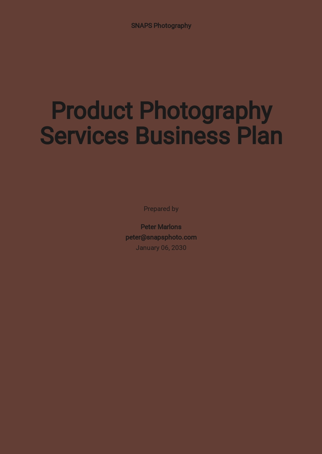 photography studio business plan template