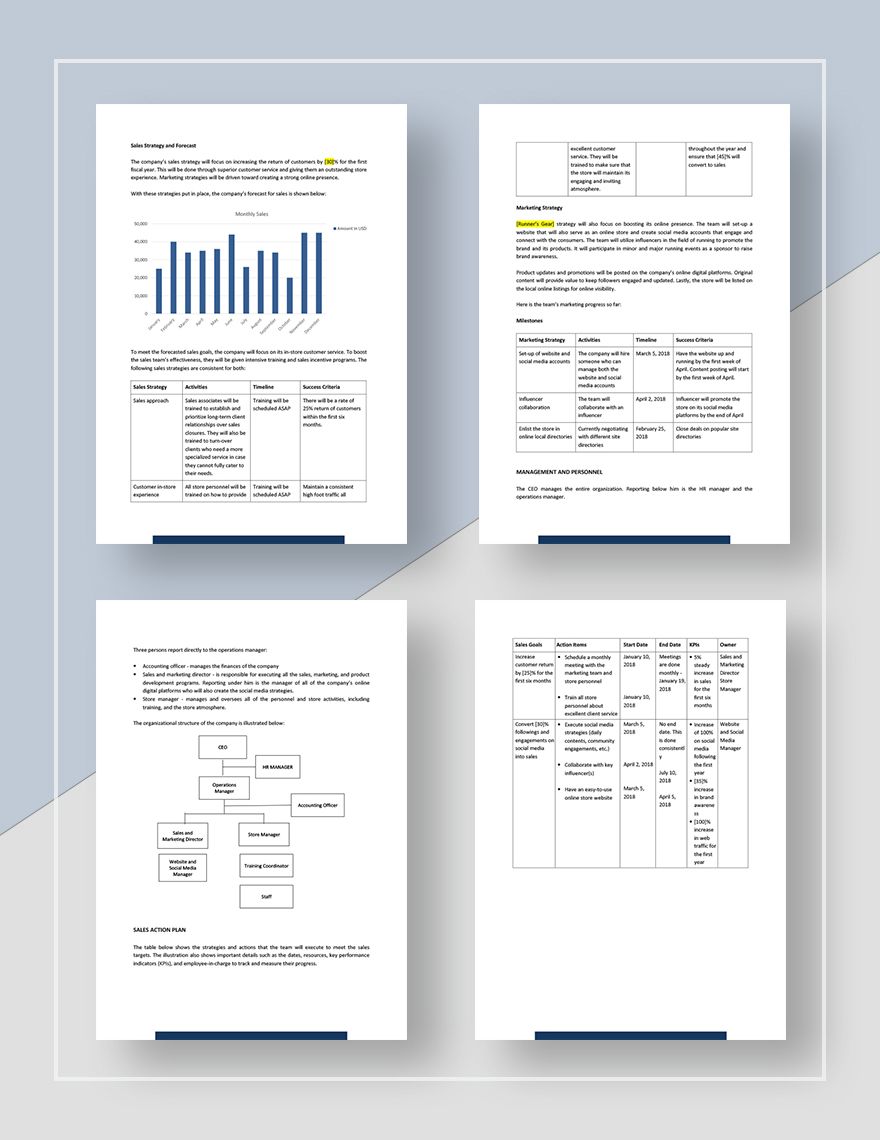 Product Sales Plan Template