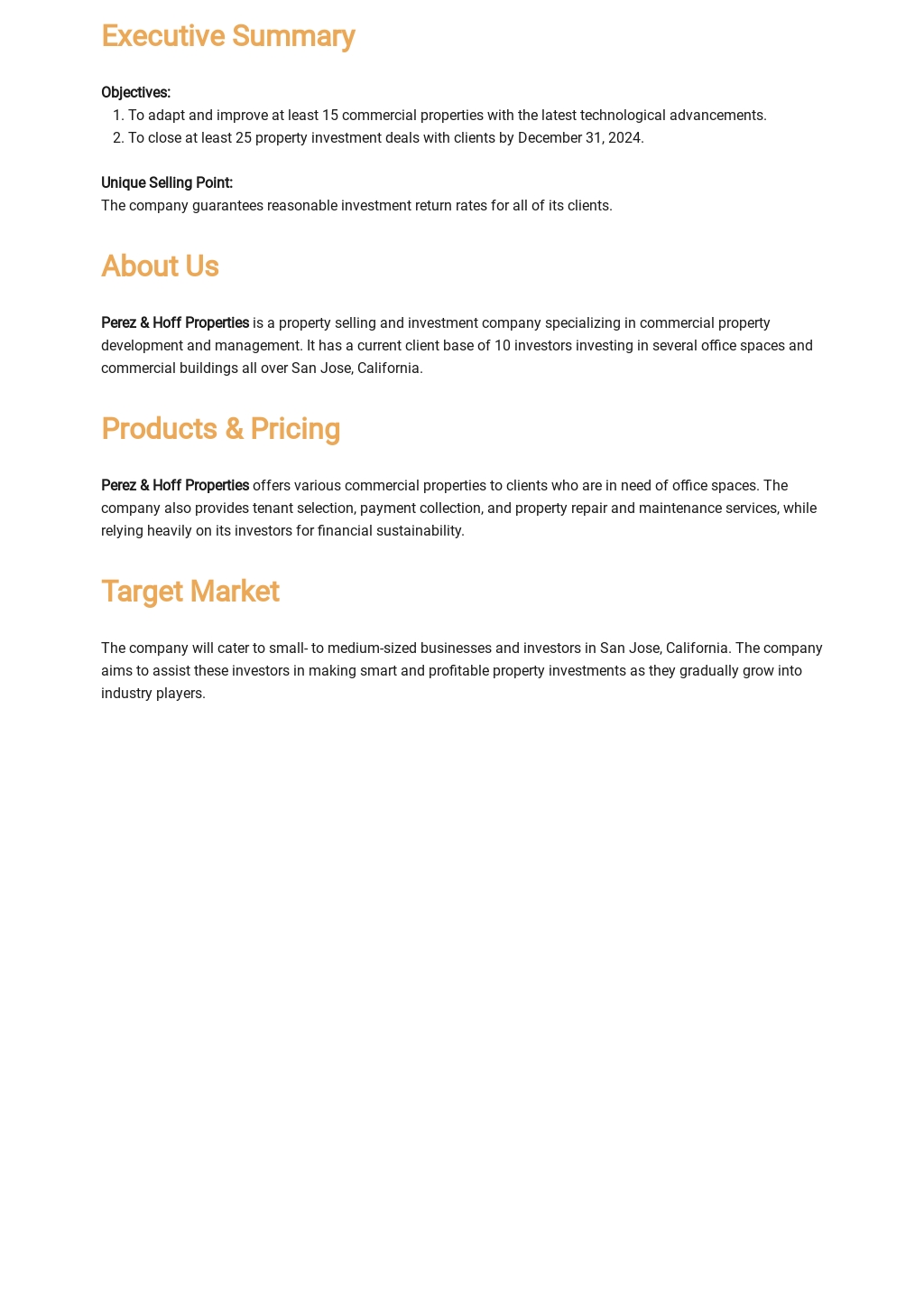 Property Investment Business Plan Template Free PDF Word Apple
