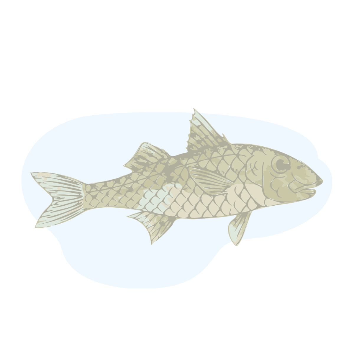 Free Watercolor Fish Vector Template