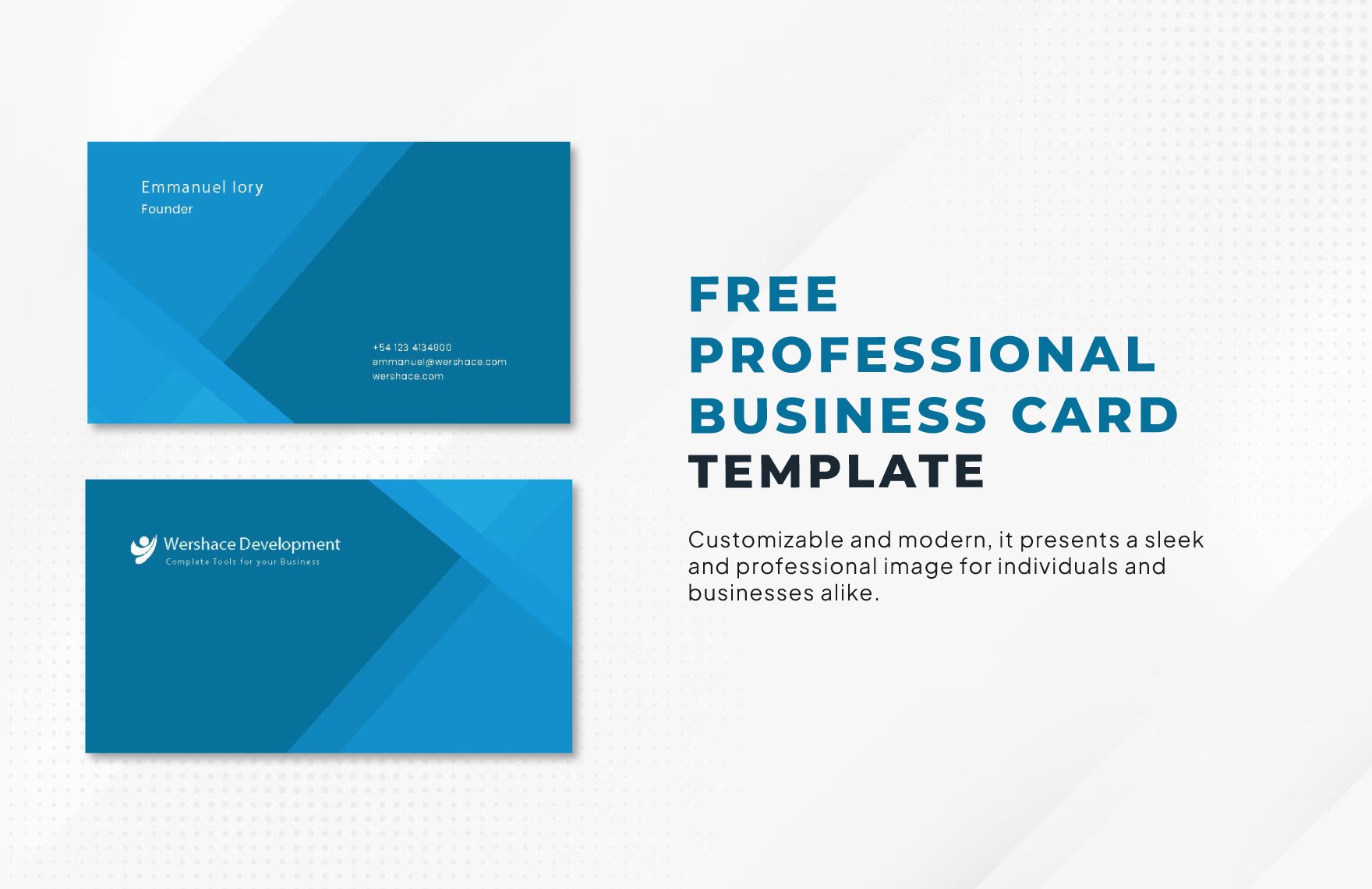 Professional Business Card Vector