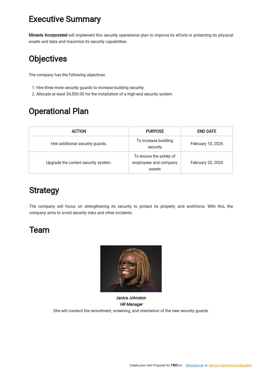 security-operational-plan-template-google-docs-word-apple-pages