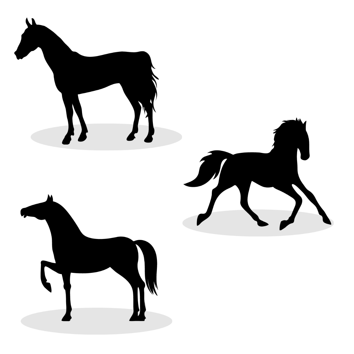 Free Black Horse Vector Template