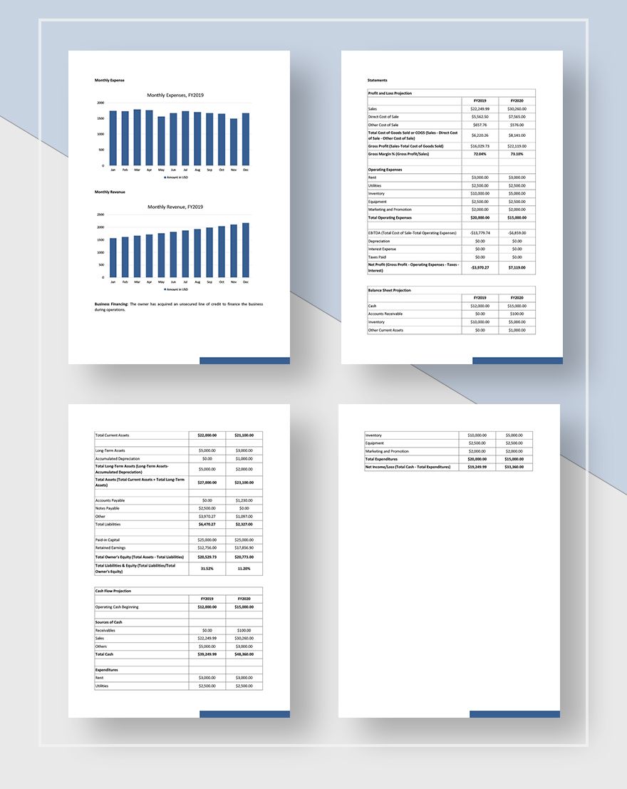 Store Business Plan Template